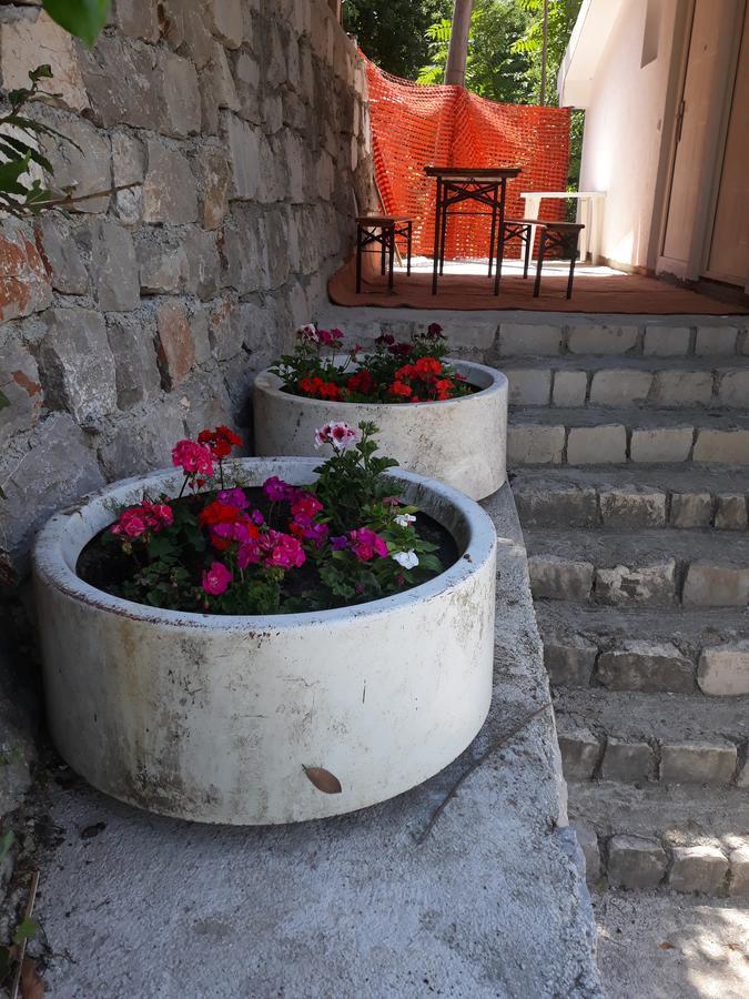 Apartmani Viza Risan Buitenkant foto